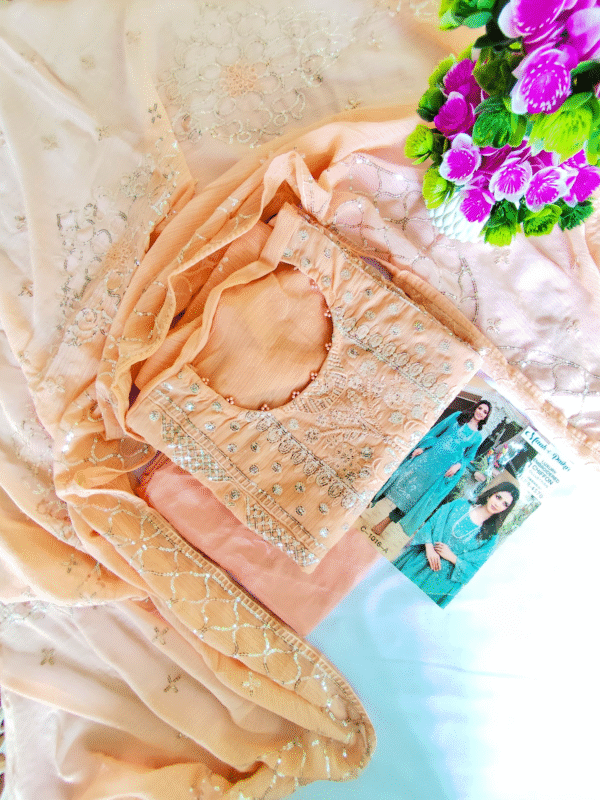 womens CLothing